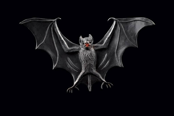 istock Bat stock images 992868180