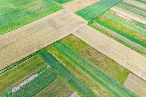istock aerial view of green fields. summer time 992885642
