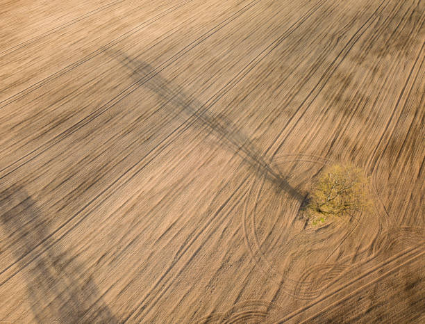 istock Spring arable land. A field and a lonely tree. View from above. Aerial, drone. 992901432