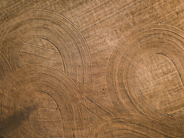 istock Spring arable land. Field and beautiful patterns from the tractor. View from above. 992906188