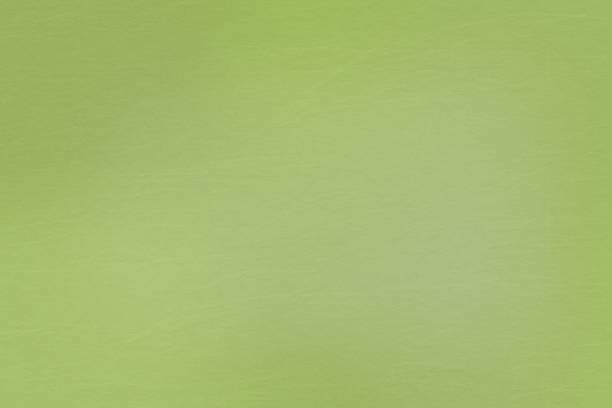 istock Texture of light green cardboard, abstract background 992911204