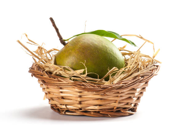 single Green mango with stem and leaf in cane basket isolated on white background single Green raw mango with stem and leaf in cane basket isolated on white background basket healthy eating vegetarian food studio shot stock pictures, royalty-free photos & images