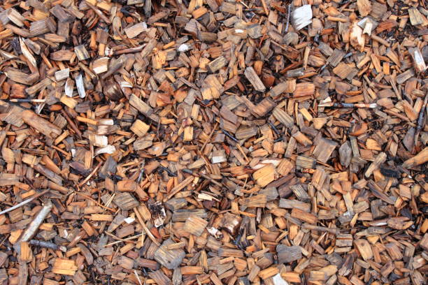 istock Wooden shavings in a carpentry 992925040
