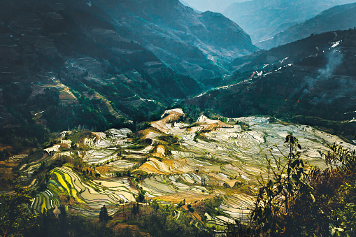 a valley of rice terrace field in yuan-yang , Yunnan province china