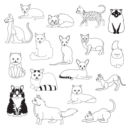 Ilustración de Gato Para Colorear Libro Dibujos Animados Lindos Personajes  De Dibujos Animados Vector Set Ilustración y más Vectores Libres de  Derechos de Gato doméstico - iStock
