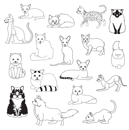 Ilustración de Gato Para Colorear Libro Dibujos Animados Lindos Personajes De Dibujos Animados Vector Set Ilustración y más Vectores Libres de Derechos de Gato doméstico - iStock Ilustración de Gato Para Colorear Libro Dibujos Animados Lindos Personajes De Dibujos Animados Vector Set Ilustración y más Vectores Libres de Derechos de Gato doméstico - iStock