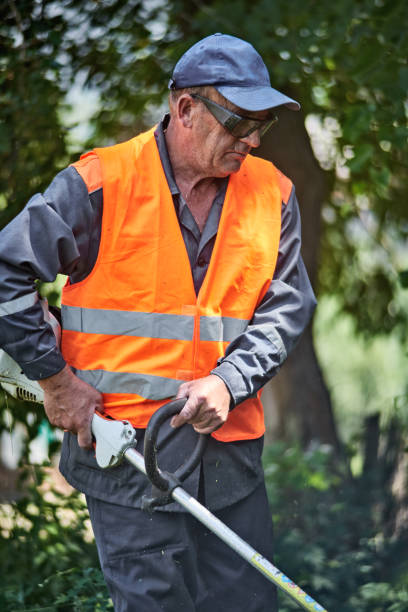 istock Man Trims Grass in Safety Equipment 992954588