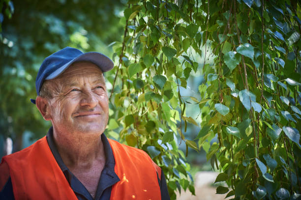 istock Portrait of an elderly smiling man 992954982