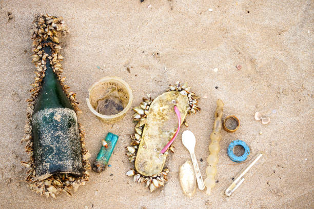 istock Garbage in the sea affecting marine lives 992956624