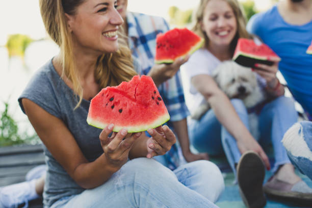 야외 작업 파티 후 - picnic watermelon summer food 뉴스 사진 이미지
