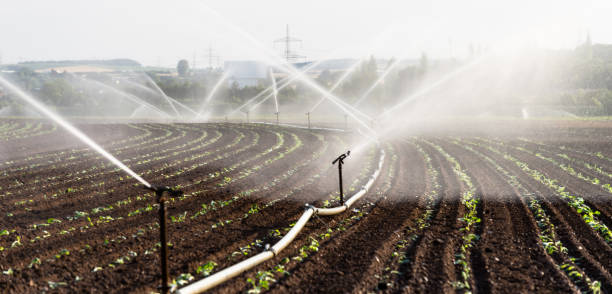 istock Watering crops in western Germany with Irrigation system using sprinklers in a cultivated field. 992972406