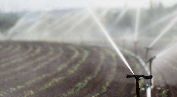 istock Watering crops in western Germany with Irrigation system using sprinklers in a cultivated field. 992972556