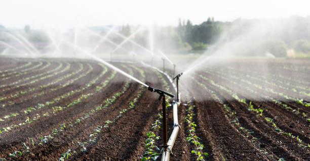 istock Watering crops in western Germany with Irrigation system using sprinklers in a cultivated field. 992973768