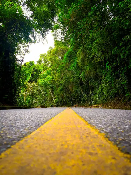 Yellow line giving direction on the asphalt in the road through the rainforest in Rio de Janeiro, Brazil.