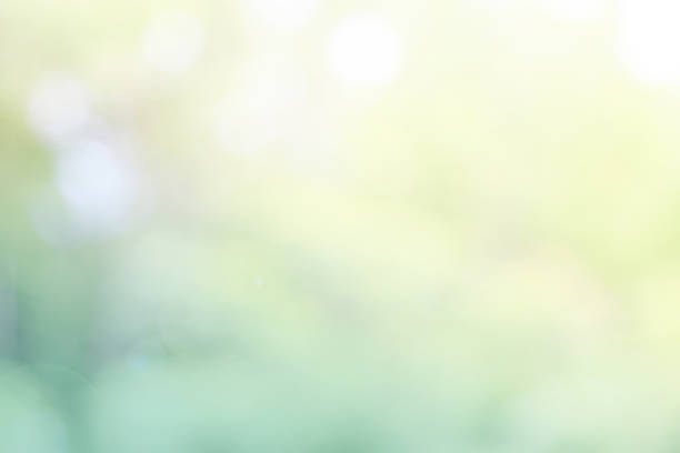 istock abstract natural blurred green bokeh background 992975536