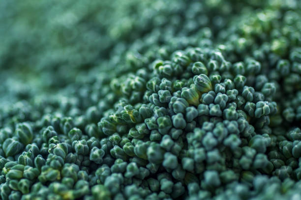 istock closeup of raw broccoli 992984952