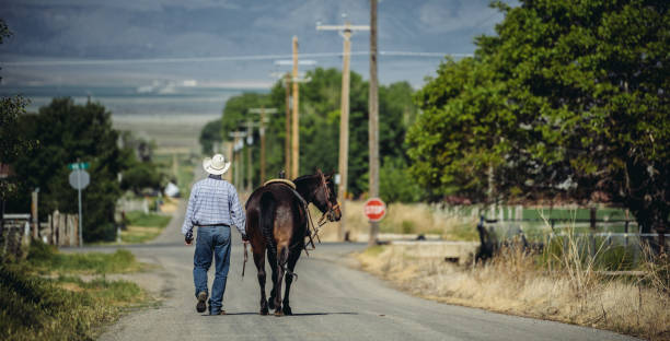 istock Utah cowboy and his horse 992998046