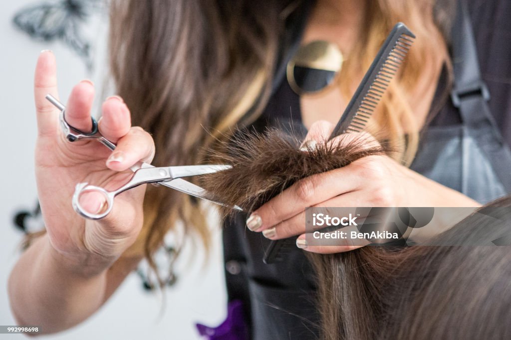 Close up of hairdressers hands cutting hair close up of a hairdressers hands cutting wet hair in a hair salon. Hairdresser Stock Photo