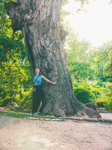 istock Cute girl hugging huge tree 993002354