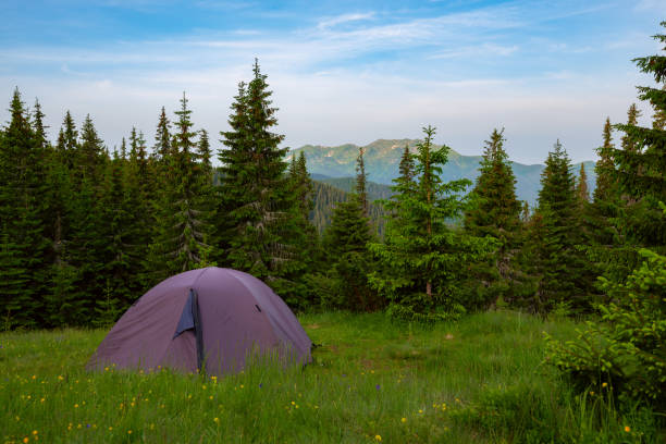 istock Tent on the green mountain meadow 993010502