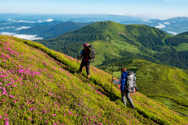 istock Adventurers with backpacks are walking along mountain trail 993015412
