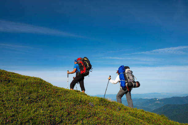 istock Adventurers with backpacks are walking along green mountain ridge 993015796