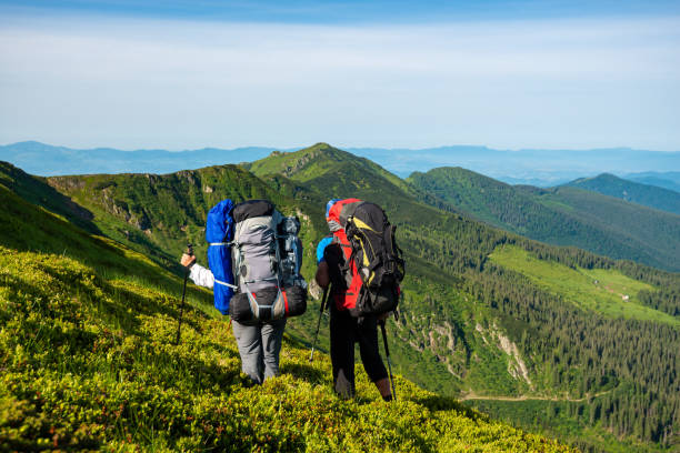 istock Adventurers with backpacks stands on green mountain slope 993016364