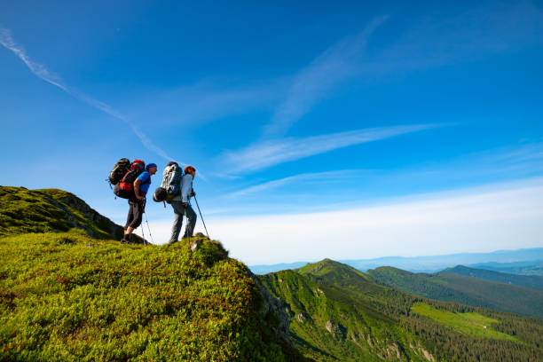 istock Adventurers with backpacks stands on green mountain ridge 993016410