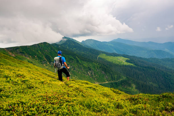 istock Adventurer admiring the green ridge 993019498