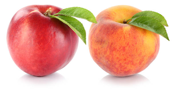 istock Nectarine and peach fresh fruit fruits isolated on white 993020544