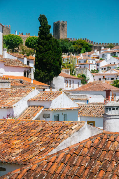 istock Obidos castle and fortress 993021526