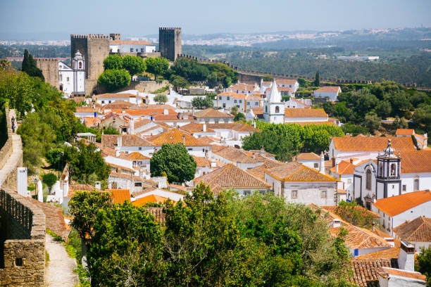istock Obidos castle and fortress 993021528