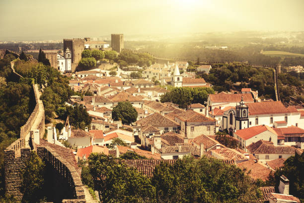 istock Obidos castle and fortress 993021548