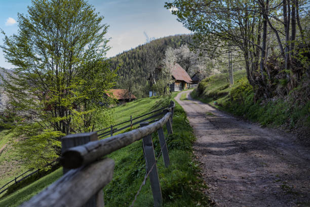 Typical rural road with provincial landscape in Arieseni, Romania