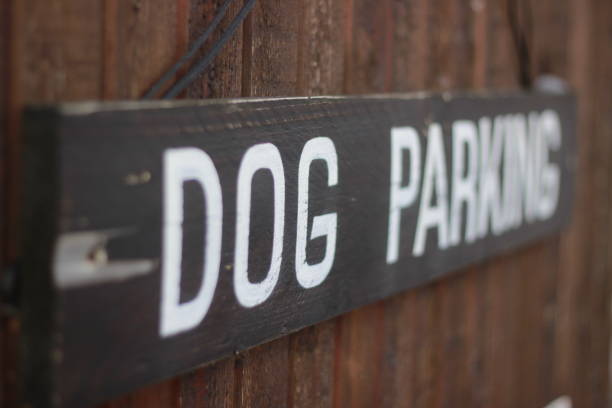 istock Dog Parking Sign 993059118