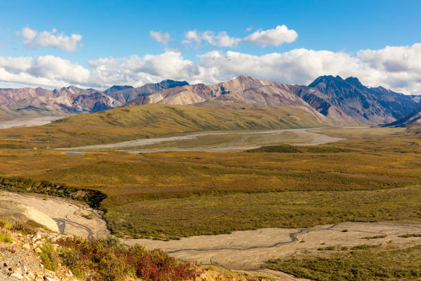 istock Denali National Park Alaska Landscape 993073884