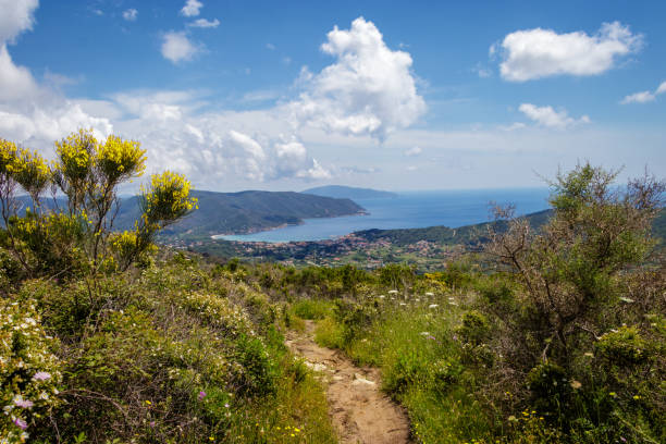 costa occidental de elba se extiende para cerca de 35 kilómetros. desde portoferraio marciana marina.  hermosos acantilados sobre el mar, con una mirada hacia fuera sobre el mar y hacia el horizonte. - portoferraio fotografías e imágenes de stock