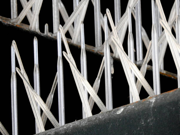 istock Spikes Used Under Eaves as Deterent to Birds Nesting 993096994