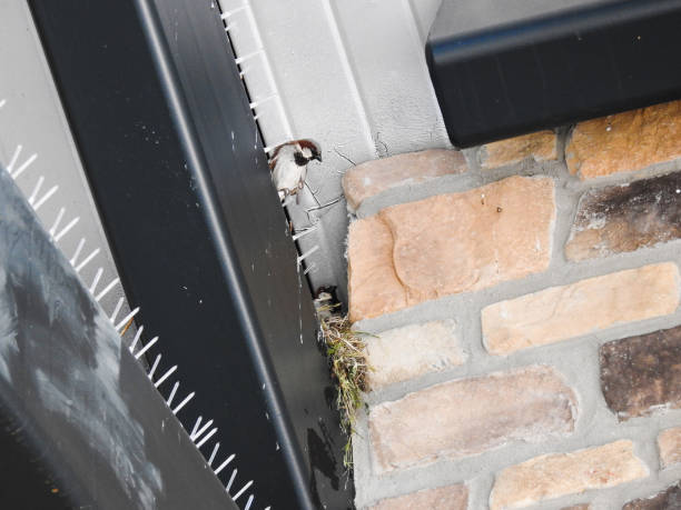 A rest stop along the Pennsylvania turnpike uses spikes under roof eaves to discourage nesting birds. Obviously, it didn't work. In spite of prevention techniques, obstacles and deterrents, birds still inhabit the space under the roof eaves.