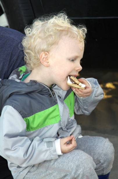 istock Child Eating A Smores 993097412