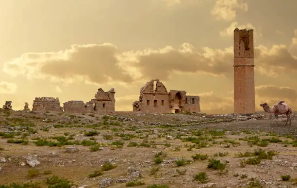 The remains of the university of Harran.. The ruins are widely regarded as being the site of Islam's first university during the late 8th and 9th century.