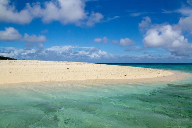 istock A beautiful and pristine beach in the paradise 993106156