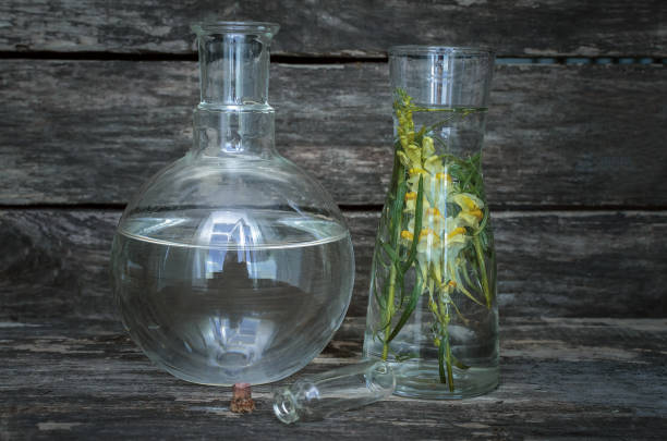 istock Naturopathy. Herbal medicine. 993107022