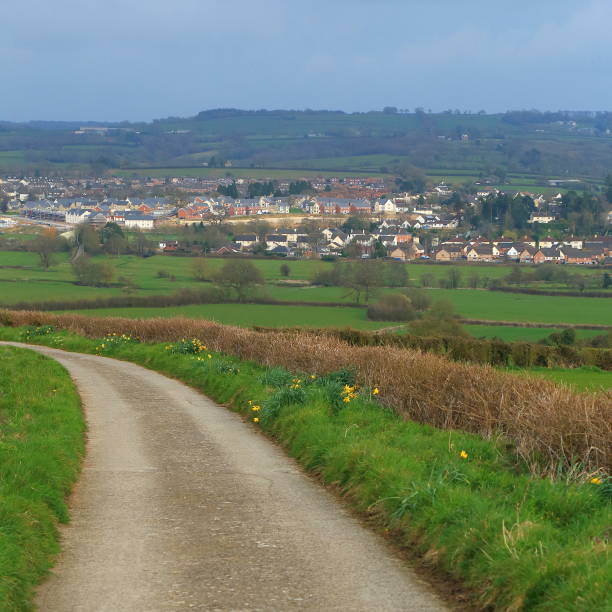 istock Panoramic view of market town Axminster 993107120
