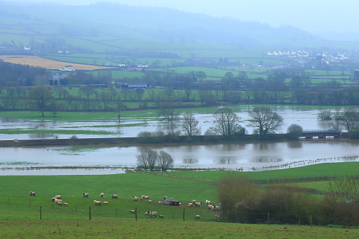 Axe Valley flooded by river Axe in East Devon