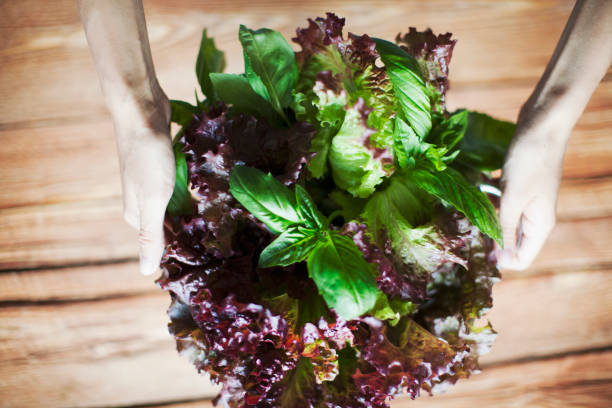 istock Fresh green mixed salad leaves shot from above on rustic wood table 993117790