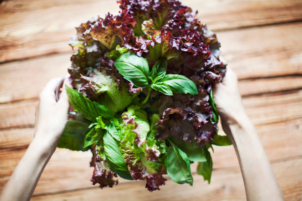 istock Fresh green mixed salad leaves shot from above on rustic wood table 993117792