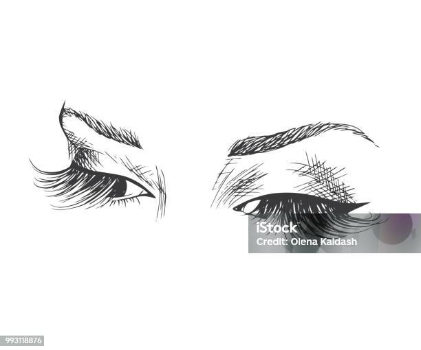 Beautiful Eyes With Long Eyelashes Stock Illustration - Download Image Now - Eyelash, Logo, Abstract