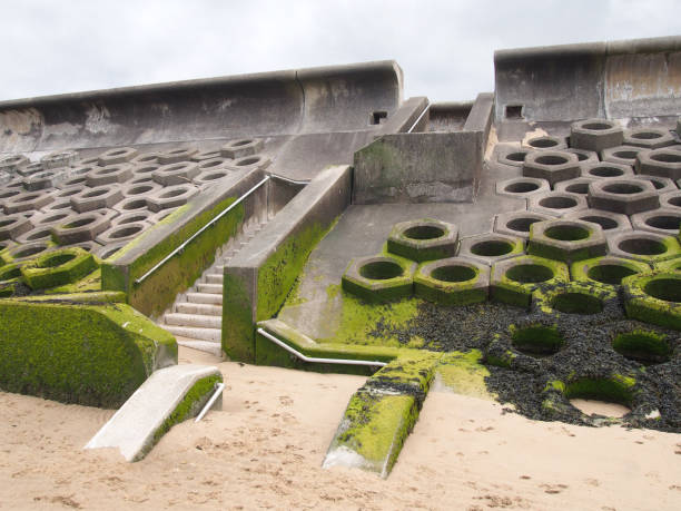istock the seawall in blackpool constructed of concrete honeycomb type structures with steps leading to the beach covered in tidal seaweed 993126492