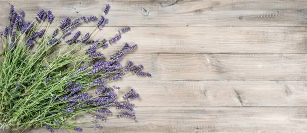 Photo of Lavender flowers rustic wooden background Vintage still life